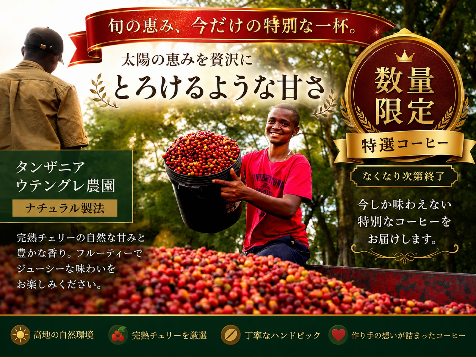 タンザニア・ウテングレ農園