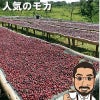 エチオピア・モカ・スペシャル